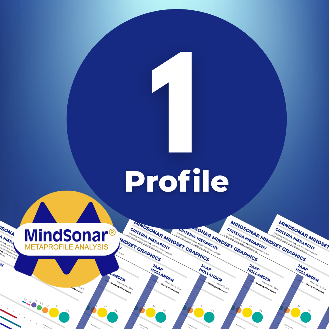 1 Profil MindSonar